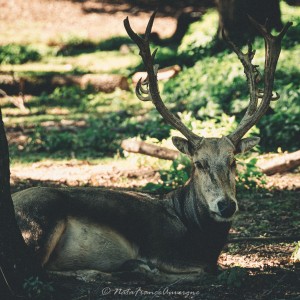 Le Pal sept 2023 by @NataFranceAuvergne-6312